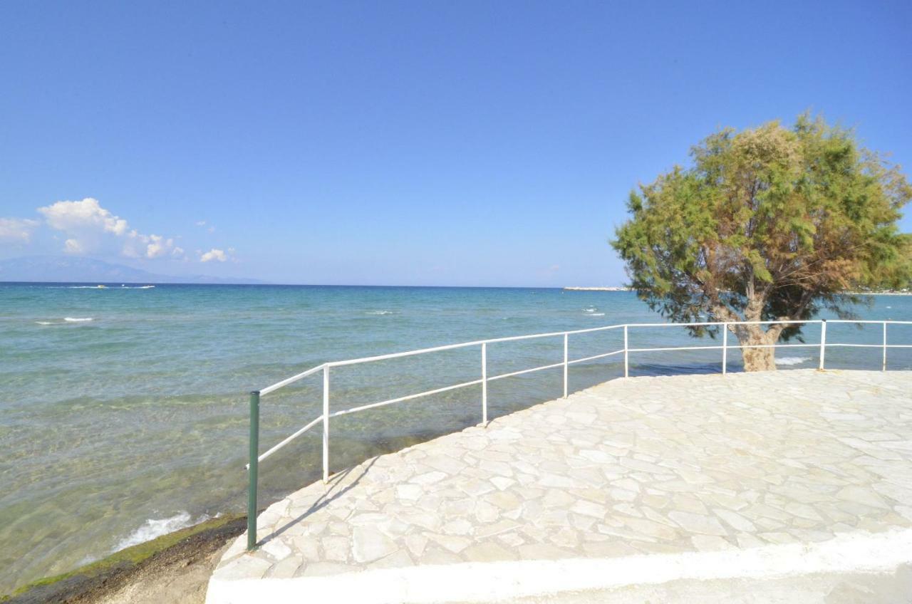 Oasis Beachfront Studios & Apartments, By Zantewize Alikanász Kültér fotó